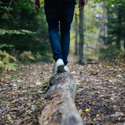 Personne marchant sur un tronc avec équilibre en pleine forêt